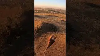 Paramotor plateau #goldenhour #flight #flying #aviation #paramotoring #ppg #paramotor #fun
