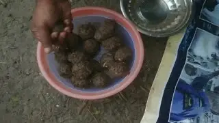 Best fishing ground bait for baur ||west bengal || india