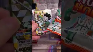 HUNTER X HUNTER UNION ARENA CHASE CARD - top hit pulled