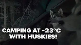 Dog Sledding & Camping at -23&deg;C Freezing Weather