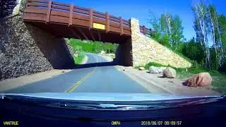 Montage Deer Valley