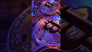 Тюльпаны против биткоина: первая в истории битва пузырей! 🥊