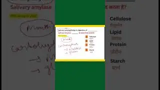 Digestive System PYQ | Railway Exam | Biology #biology #shorts #science #shortsfeed