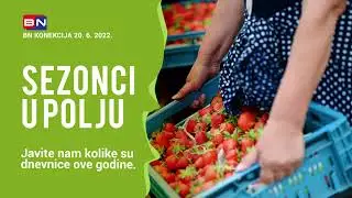 SEZONCI U POLJU Javite nam kolike su dnevnice ove godine. || BN KONEKCIJA