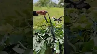 Быстрый и безопасный способ взлома галстука, который вам нужен.