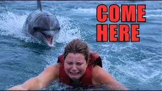 The Darkest Truth About Dolphins