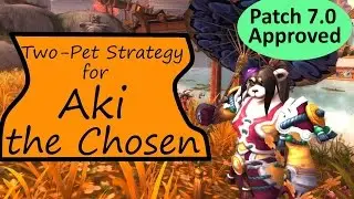 Aki the Chosen: WoW Pet Battle Powerlevel Guide