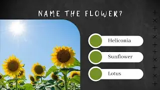 Do you know the names of flowers? | Guess the Flower Quiz