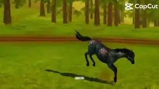 |~Old town road~| #horseedits #wildcraft 