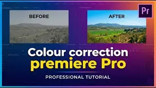 Colour correction premiere Pro