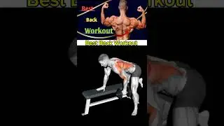 Best #back #workout #back #gym #dumbbells #youtube #shorts #feed #video #viral