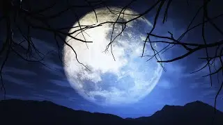 Binaural Beats Sleep Meditation Music - 2Hz Delta Waves - Night Forest Sounds