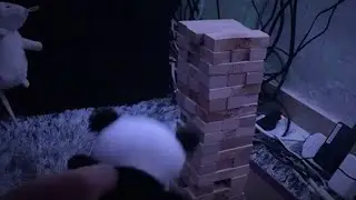 Panda and mouse playing jenga game | 24/7/2025