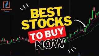 The Best Stocks to Buy if the Market Bottoms