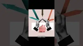 Master Forex trading basics with these 5 timeless tips designed for beginners! From limiting losses