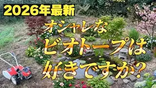 【2026年最新】オシャレなビオトープは好きですか？｜新しい池、1週間後の変化