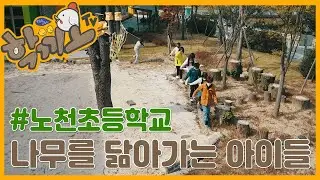 [학끼오TV] #노천초등학교 | 나무를 닮아가는 아이들이 있는곳