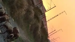 কেমন আছো সবাই