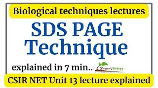 SDS PAGE electrophoresis in Hindi | SDS PAGE animation explained