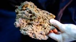 Ancient Rock Art ! Tar like Pitch ! Zoomorphs ! Many images ! PT  1.