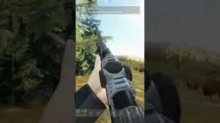 Almost a 500 meter shot ! 