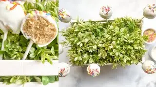 Gluten-Free Cake Pop Recipe (No-Bake!)