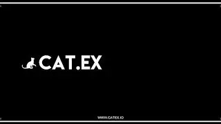 Разбор Catex Token (CATT): Что нужно знать об проекте?