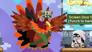 I domesticated a boss thanksgiving turkey - Growtopia bug