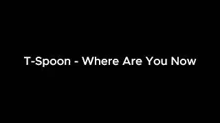 T-Spoon - Where Are You Now (Radio Mix)