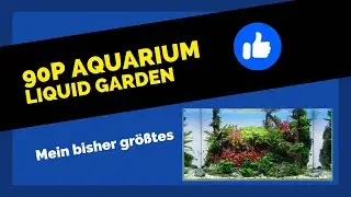 90p liquid garden Aquarium, das etwas gr&ouml;&szlig;ere.