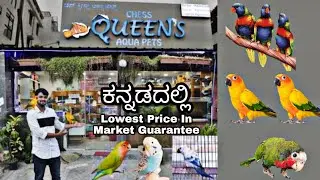 Birds at chess Queen's Aqua pets Kannada vlog