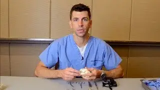 Addressing challenges in feline dentistry