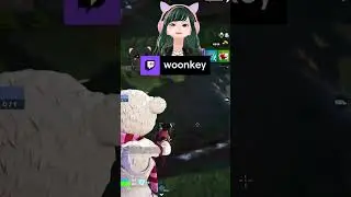 I can't believe I got that kill | woonkey on #Twitch