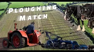 Ploughing Match at Bayvil Farm 2022