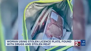 Mt. Juliet police investigate stolen license plate, find drugs and stolen meat