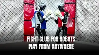 UFB - Ultimate Fighting Bots, free now! Play with joystick, keyboard or Joy-Con.