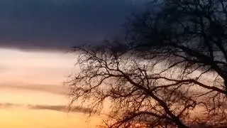Yellow Sky Shines Through Under The Dark Clouds Behind The Silhouetted Tree