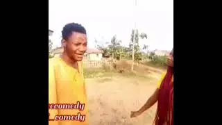 Stupid Director