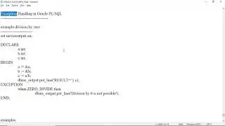 Exception Handling in Oracle Pl/SQL
