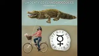 Unidentified Flying Crocodiles [Royalty Free Music Jamendo]