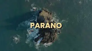 DDB - PARANO (VIEW VERSION)