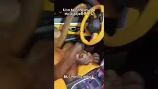 Bro, My &Uuml;ber Driver is a Monkey 💀