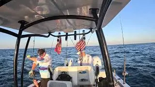 Caught some Grouper, Triggerfish and more out of Panama City, FL. #fishing #florida #saltwater