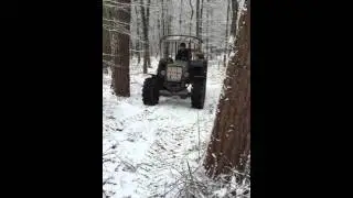 K&ouml;nigstiger im Wald