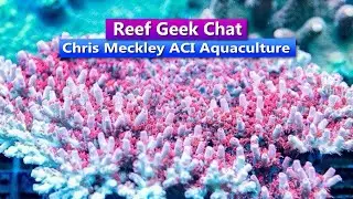 ReefDudes Saltwater Reef Geek Chat with Chris Meckley ACI Aquaculture