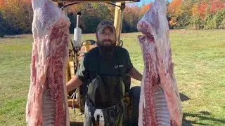 Meat the Critters: Episode 2 Yorkshire Pigs