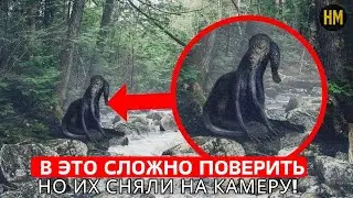 Ты НЕ МОЖЕШЬ ПОВЕРИТЬ в это зрелище! УЖАСАЮЩИЕ СУЩЕСТВА начали появляться на Филиппинах.