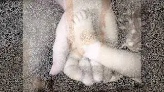 If You Could See Me Now~Miscarriage video