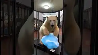 Polar Bear Awakens!!!!