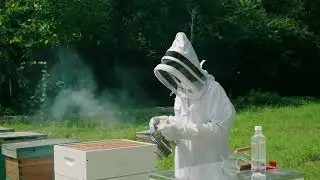 Wearing bee suit to work on the beekeeping farm